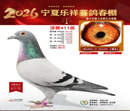 �����������411��