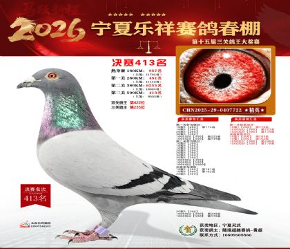 �����������413��