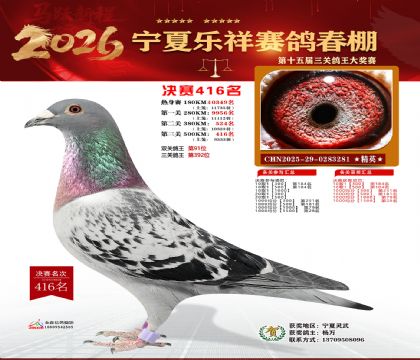 �����������416��