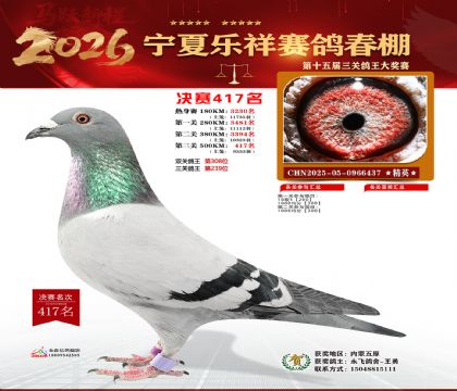 �����������417��