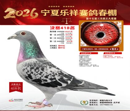 �����������418��