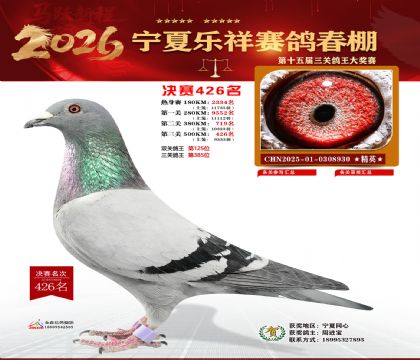 �����������426��