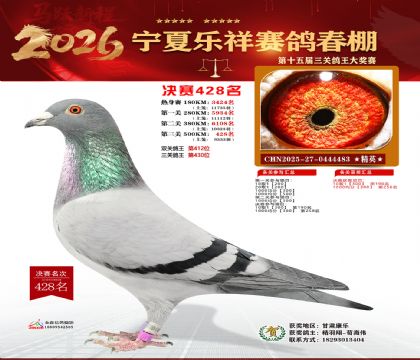 �����������428��