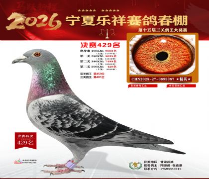 �����������429��