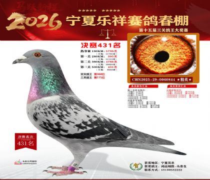 �����������431��