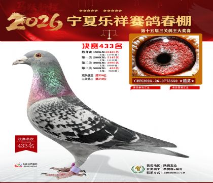 �����������433��