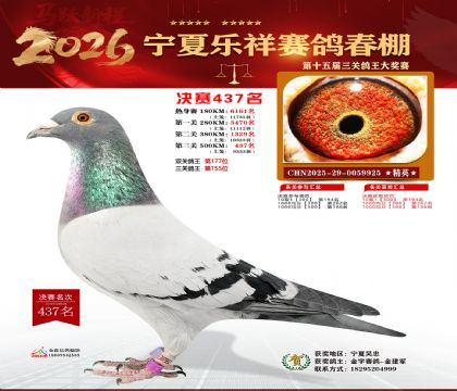 �����������437��