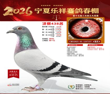 �����������438��