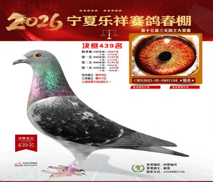 �����������439��