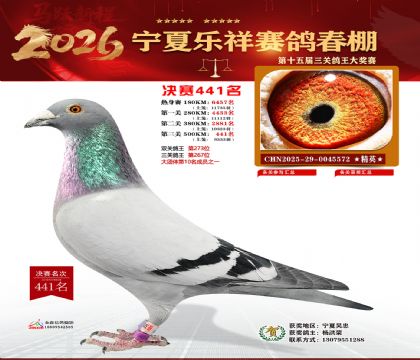 �����������441��