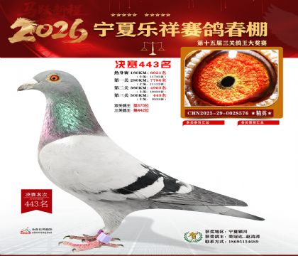 �����������443��