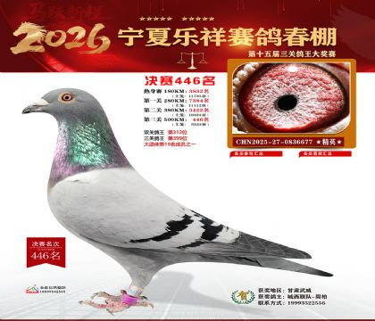 �����������446��