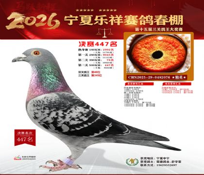 �����������447��