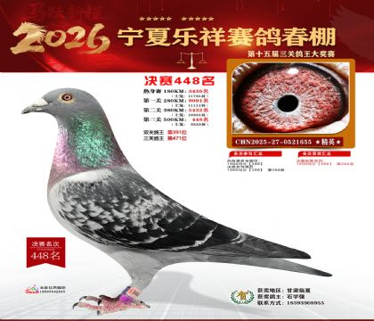 �����������448��