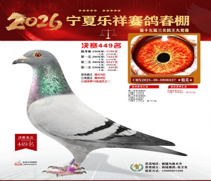 �����������449��