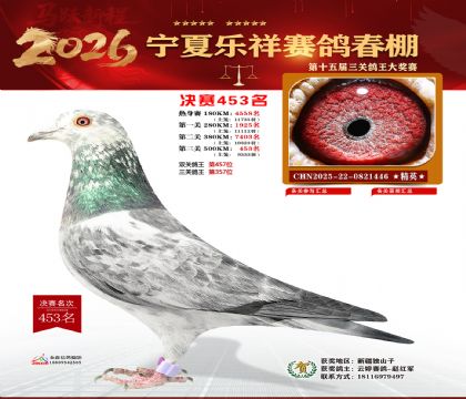 �����������453��