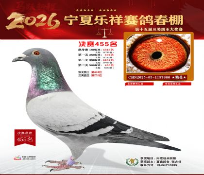 �����������455��