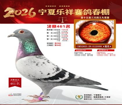 �����������461��