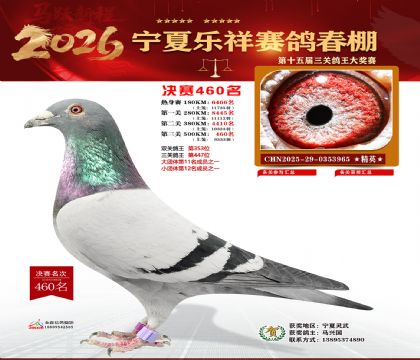 �����������460��