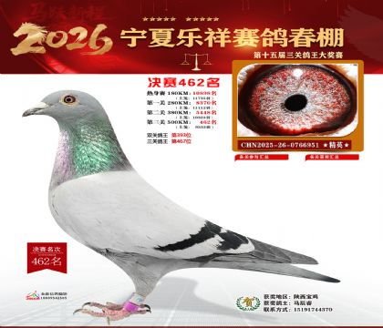 �����������462��