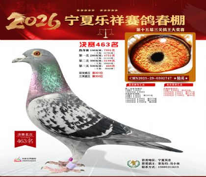 �����������463��