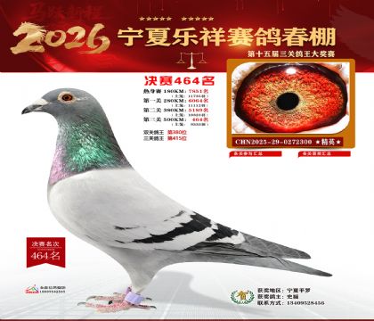 �����������464��