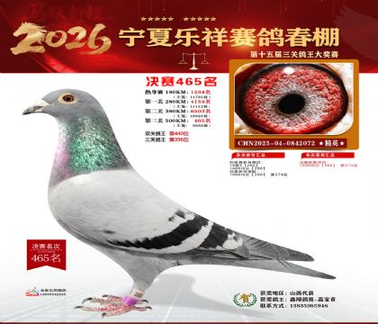 �����������465��