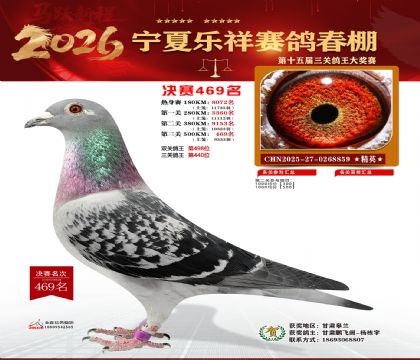 �����������469��