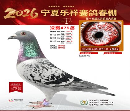 �����������475��