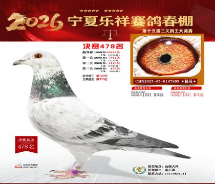 �����������478��