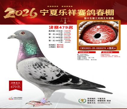 �����������479��