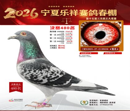 �����������480��