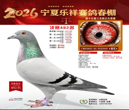 �����������482��