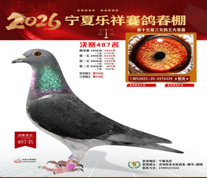 �����������487��