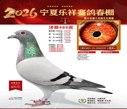 �����������489��