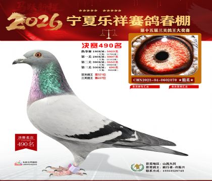 �����������490��