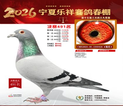 �����������491��