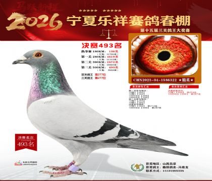 �����������493��