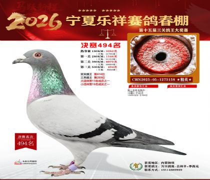 �����������494��