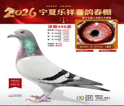 �����������496��