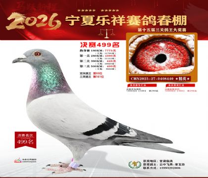 �����������499��