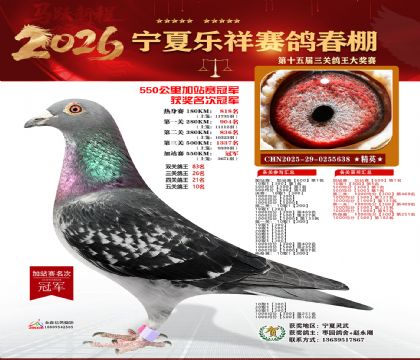 ���������վ��1��