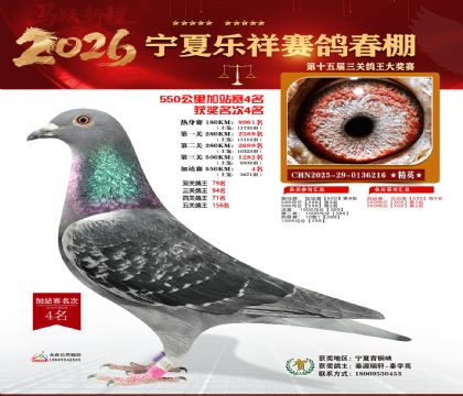 ���������վ��4��