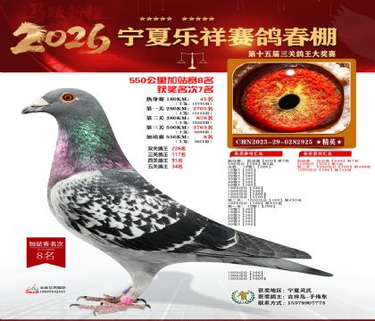 ���������վ��8��