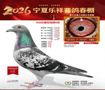 ���������վ��9��