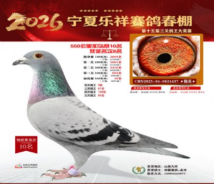 ���������վ��10��