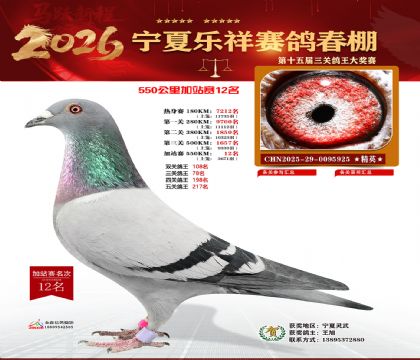 ���������վ��12��