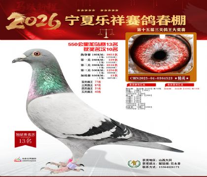 ���������վ��13��