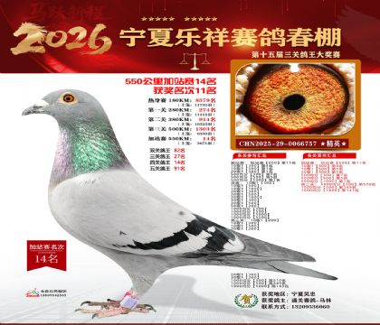 ���������վ��14��