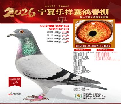 ���������վ��16��